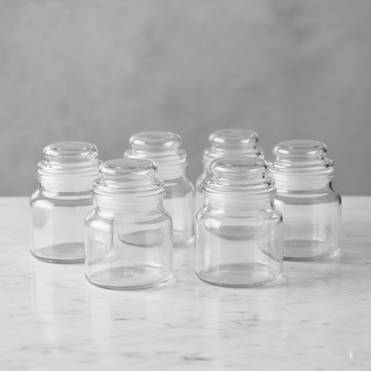 Premium 6-Piece Glass Spice Jar Set