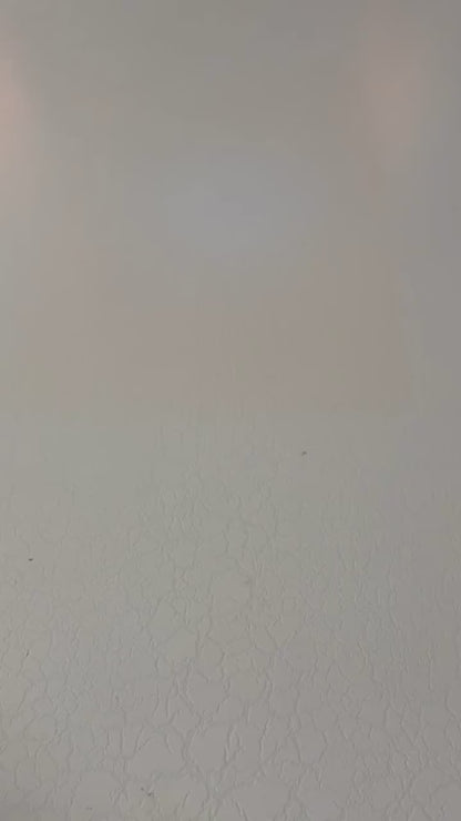 PostureMaster Pro: The Ultimate Back & Shoulder Support Brace